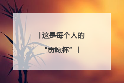 这是每个人的“贡嘎杯”