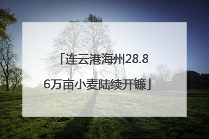 连云港海州28.86万亩小麦陆续开镰