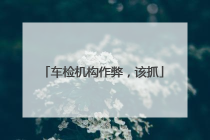 车检机构作弊，该抓