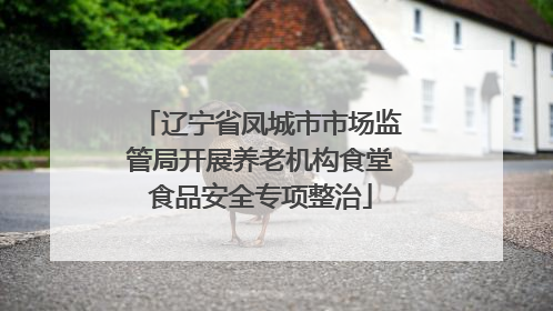 辽宁省凤城市市场监管局开展养老机构食堂食品安全专项整治