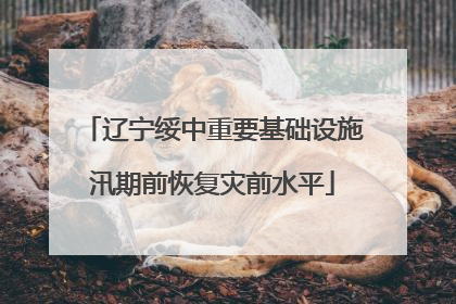 辽宁绥中重要基础设施汛期前恢复灾前水平