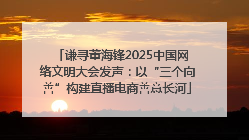 谦寻董海锋2025中国网络文明大会发声：以“三个向善”构建直播电商善意长河