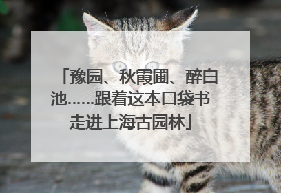 豫园、秋霞圃、醉白池……跟着这本口袋书走进上海古园林