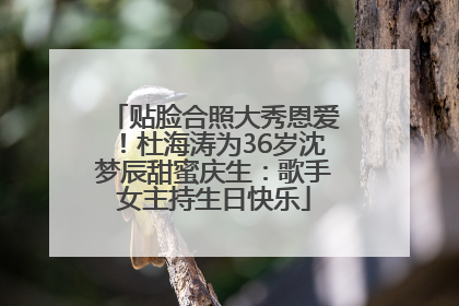 贴脸合照大秀恩爱！杜海涛为36岁沈梦辰甜蜜庆生：歌手女主持生日快乐