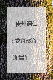 贵州铜仁：龙舟巡游迎端午