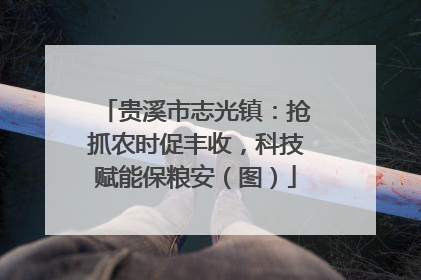 贵溪市志光镇：抢抓农时促丰收，科技赋能保粮安（图）