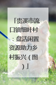 贵溪市流口镇细叶村：盘活闲置资源助力乡村振兴（图）