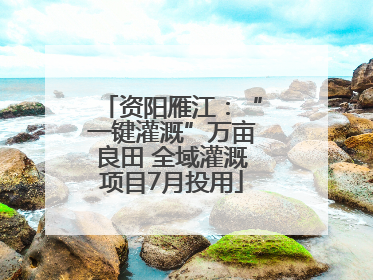资阳雁江：“一键灌溉”万亩良田 全域灌溉项目7月投用