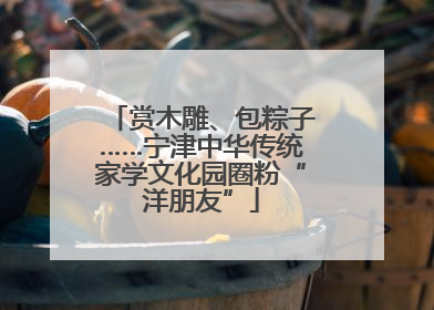 赏木雕、包粽子……宁津中华传统家学文化园圈粉“洋朋友”