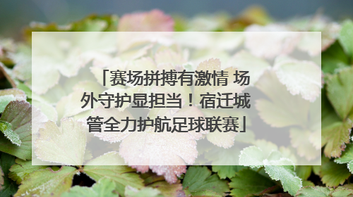 赛场拼搏有激情 场外守护显担当！宿迁城管全力护航足球联赛
