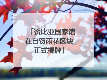 赞比亚国家馆在自贸雨花区块正式揭牌
