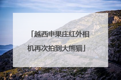 越西申果庄红外相机再次拍到大熊猫