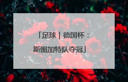 足球｜德国杯：斯图加特队夺冠