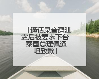 通话录音遭泄露后被要求下台 泰国总理佩通坦致歉