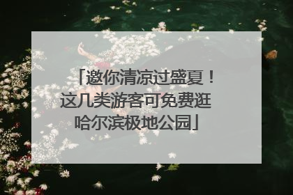 邀你清凉过盛夏！这几类游客可免费逛哈尔滨极地公园