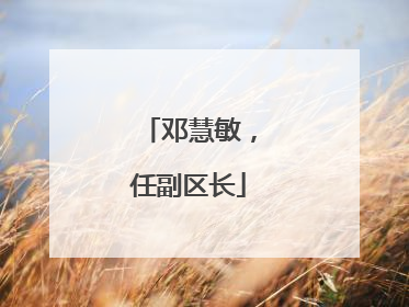 邓慧敏，任副区长