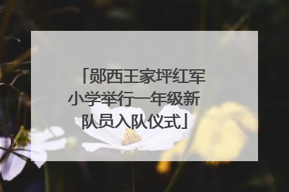 郧西王家坪红军小学举行一年级新队员入队仪式