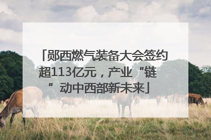郧西燃气装备大会签约超113亿元，产业“链”动中西部新未来