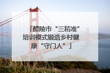 醴陵市“三精准”培训模式锻造乡村健康“守门人”