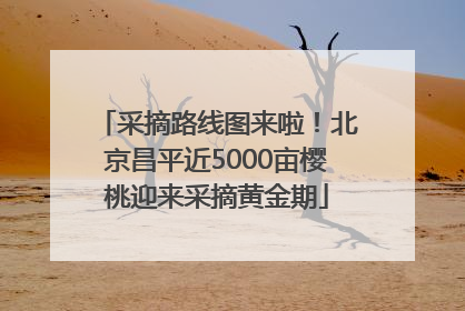 采摘路线图来啦！北京昌平近5000亩樱桃迎来采摘黄金期