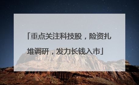 重点关注科技股，险资扎堆调研，发力长钱入市