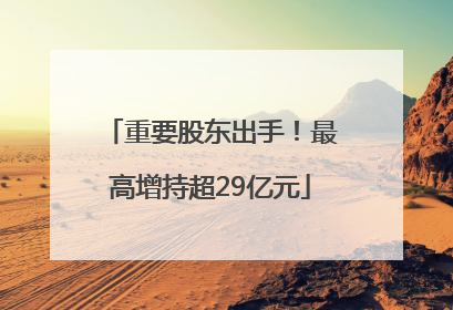 重要股东出手！最高增持超29亿元