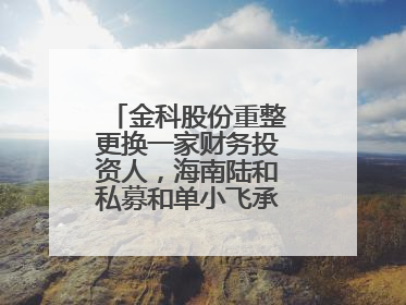 金科股份重整更换一家财务投资人，海南陆和私募和单小飞承接其投资额度