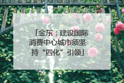 金东：建设国际消费中心城市须坚持“四化”引领