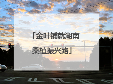 金叶铺就湖南桑植振兴路