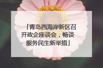 青岛西海岸新区召开政企座谈会，畅谈服务民生新举措