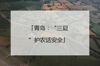 青岛：“三夏”护农话安全