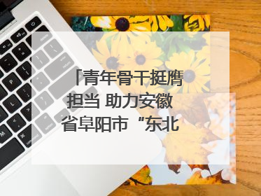 青年骨干挺膺担当 助力安徽省阜阳市“东北大外环”建设
