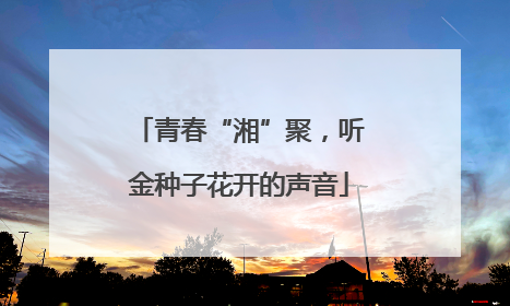 青春“湘”聚，听金种子花开的声音