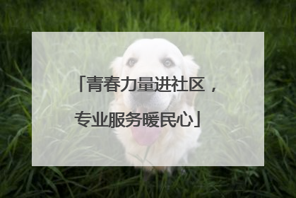 青春力量进社区，专业服务暖民心