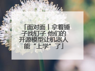 面对面丨拿着锤子找钉子 他们的开源模型让机器人能“上学”了