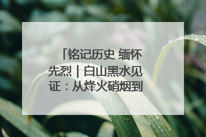 铭记历史 缅怀先烈｜白山黑水见证：从烽火硝烟到振兴热土的巨变