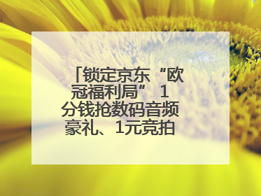锁定京东“欧冠福利局” 1分钱抢数码音频豪礼、1元竞拍巨星亲签球衣