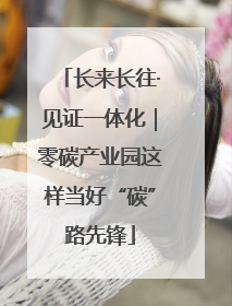 长来长往·见证一体化｜零碳产业园这样当好“碳”路先锋