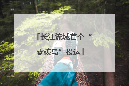 长江流域首个“零碳岛”投运