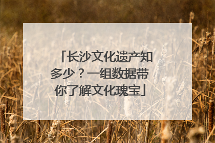 长沙文化遗产知多少？一组数据带你了解文化瑰宝