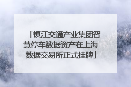镇江交通产业集团智慧停车数据资产在上海数据交易所正式挂牌