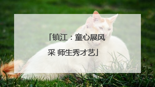 镇江：童心展风采 师生秀才艺