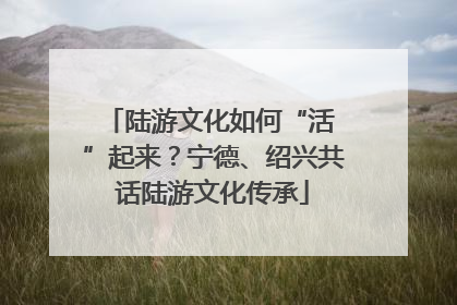 陆游文化如何“活 ”起来？宁德、绍兴共话陆游文化传承
