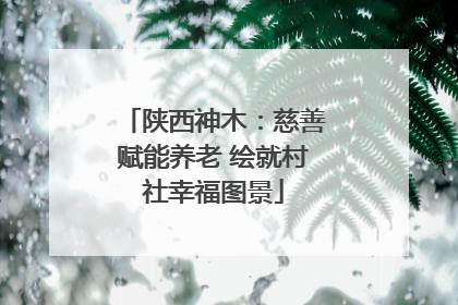 陕西神木：慈善赋能养老 绘就村社幸福图景