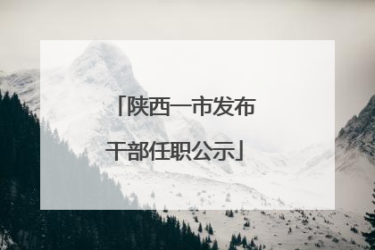 陕西一市发布干部任职公示