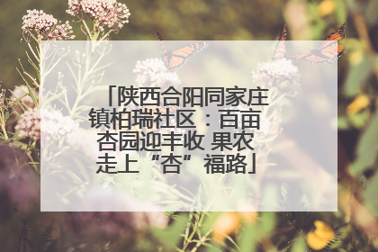 陕西合阳同家庄镇柏瑞社区：百亩杏园迎丰收 果农走上“杏”福路