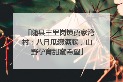 随县三里岗镇贾家湾村：八月瓜缀满藤，山野孕育甜蜜希望