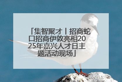 集智聚才丨招商蛇口招商伊敦亮相2025年嘉兴人才日主题活动现场