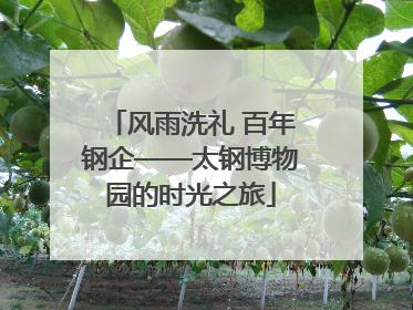 风雨洗礼 百年钢企——太钢博物园的时光之旅