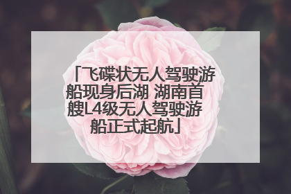 飞碟状无人驾驶游船现身后湖 湖南首艘L4级无人驾驶游船正式起航